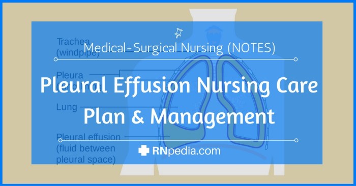 Pleural effusion nursing care plan study case