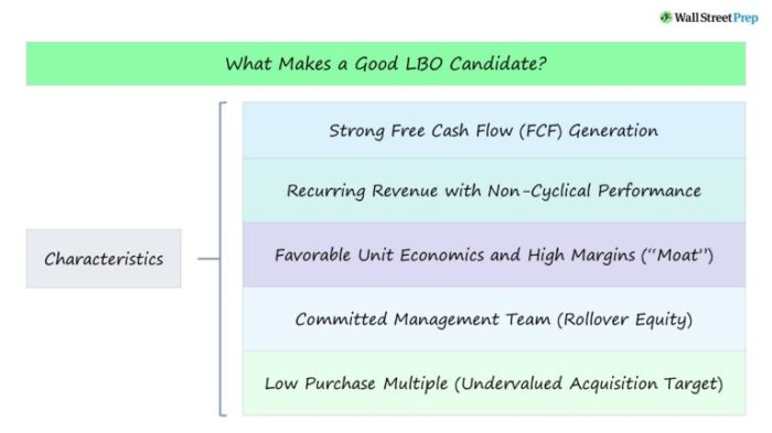 What makes a good lbo candidate