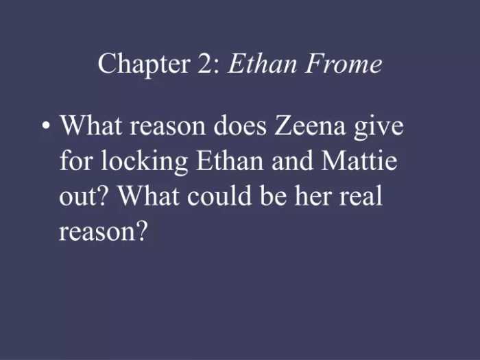 Ethan frome chapter 3 summary