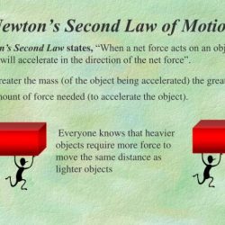 Newton newtons