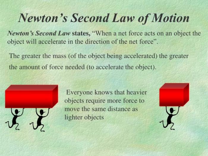 Newton newtons