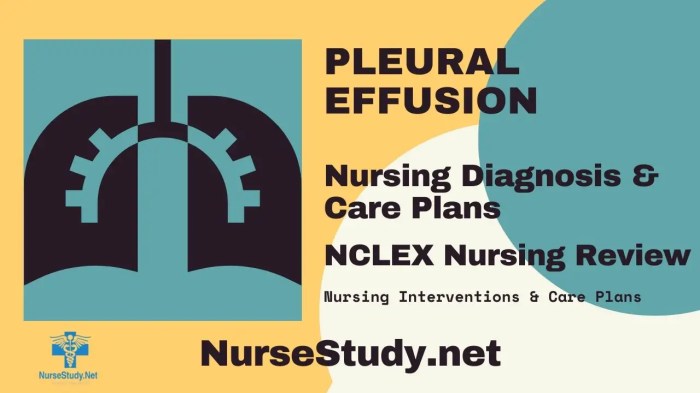 Pleural effusion nursing care plan