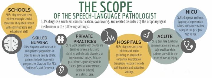 Slp scope of practice handout