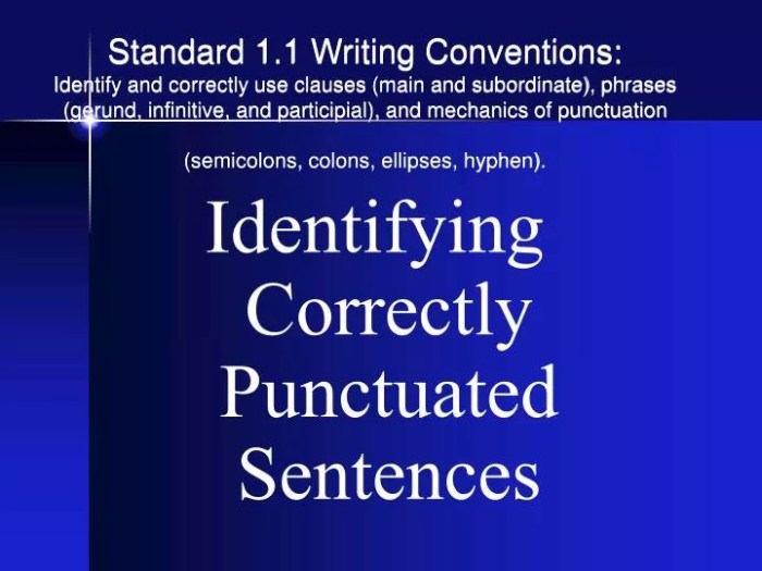 Identify the correctly punctuated sentence