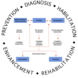 Slp scope of practice handout