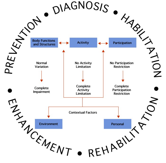 Slp scope of practice handout