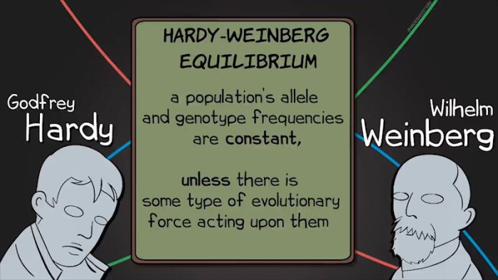 Weinberg equilibrium