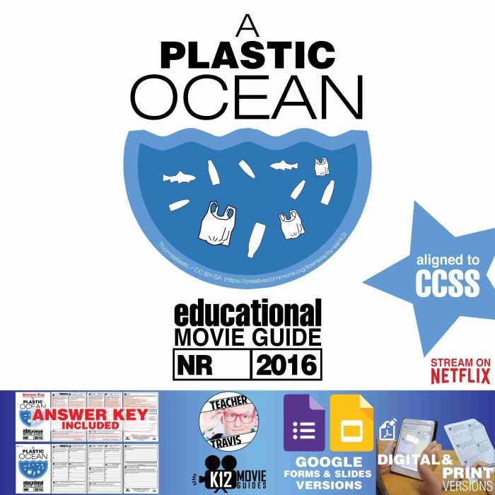 A plastic ocean documentary companion questions