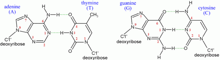 Radicals stable stability